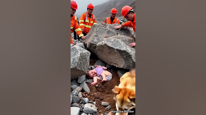 Rescue team and loyal dog rescue babies