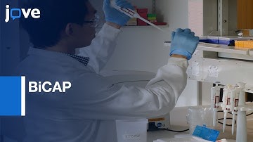 BiCAP for Multi-protein Signaling Complexes Dissection | Protocol Preview