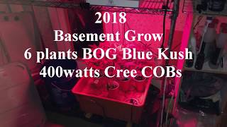 Just My Basement Grow