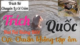 Tiếng chim quốc/trích Ré lưới đêm