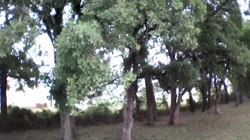 Parrot AR.Drone 2.0 Take Off and Crash