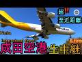 🛬着陸が沢山‼️📸【B,滑走路】【2026/05/021️⃣】超😱‼️至近距離✈️ 成田空港 🛬本生📸中継 【Many Landing,s✈️Tokyo Narita airport 📸 Live】