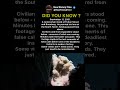 The Last Minutes Before the South Tower Fell #history #viral #viralvideo #shortvideo