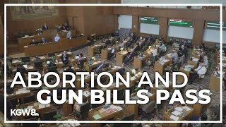 After amendments, abortion and gun bills pass Oregon legislature