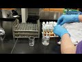 How to Analyze Chemical Oxygen Demand in Water