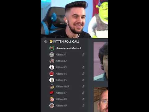 Kitten Roll Call in Discord be like: