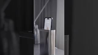 Apple Magnetic Collection