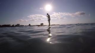 Inigo Snorkeling at Clearwater Beach FL