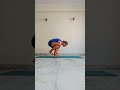 Dwi Pada Bhujasana to Bakasana and back