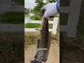 看看今天能打捞到什么?#解压故事 视频#解压视频