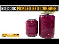 NO COOK refrigerator pickles | Pickled Red Cabbage