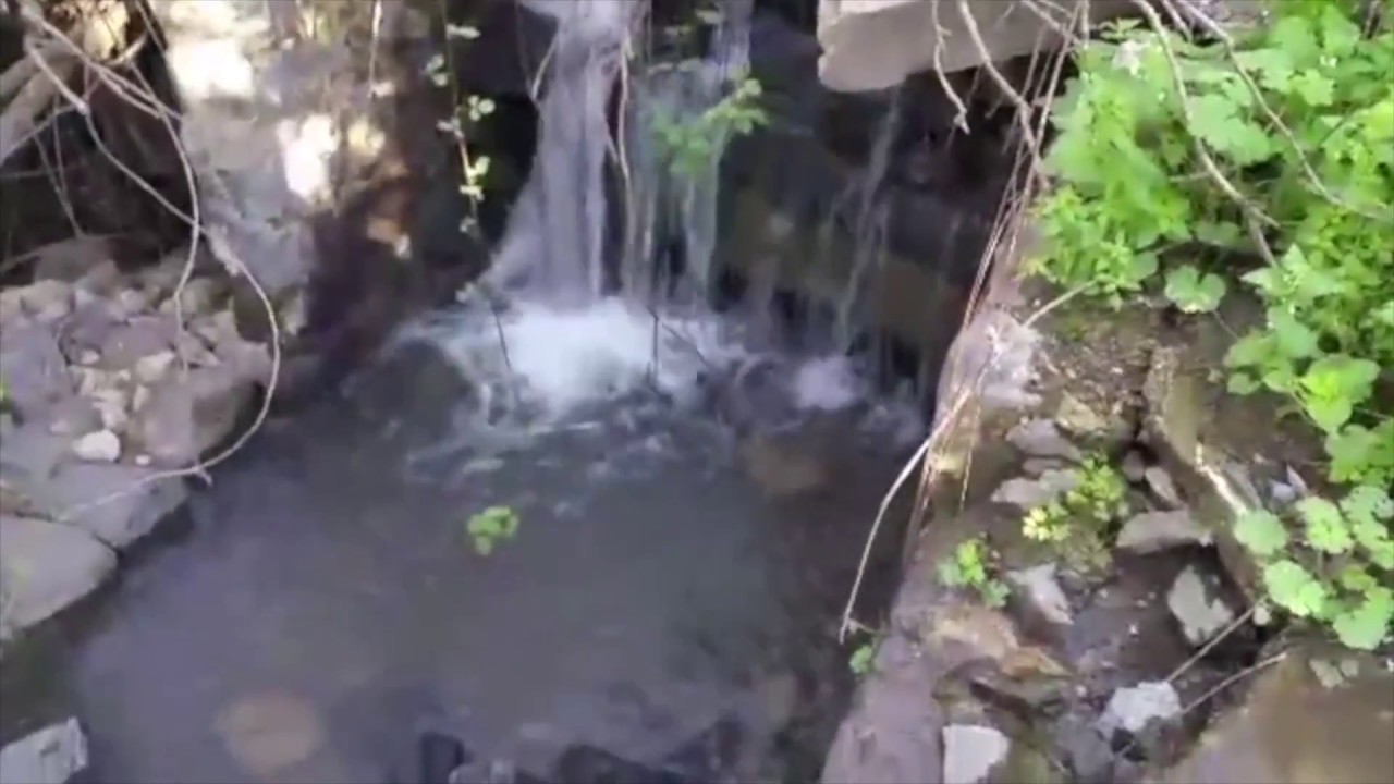 عيني ما تشوف النوم يا ديب .. عندما تفيض ينابيع قرية عين فيت عين فيت