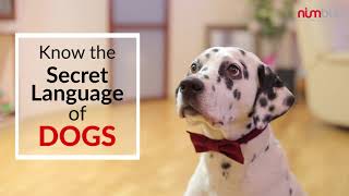 Know the Secret Language of Dogs