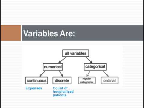 Data Matrix and Variable Types