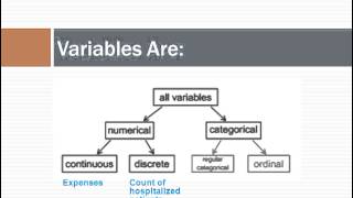 Data Matrix and Variable Types