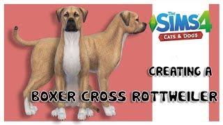Creating a Boxer cross Rottweiler Dog in The Sims 4 Create a Pet screenshot 4