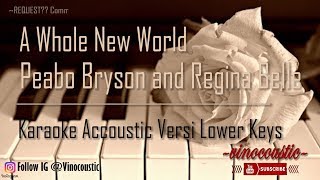 Peabo bryson & regina belle - a whole new world karaoke piano versi
lower keys