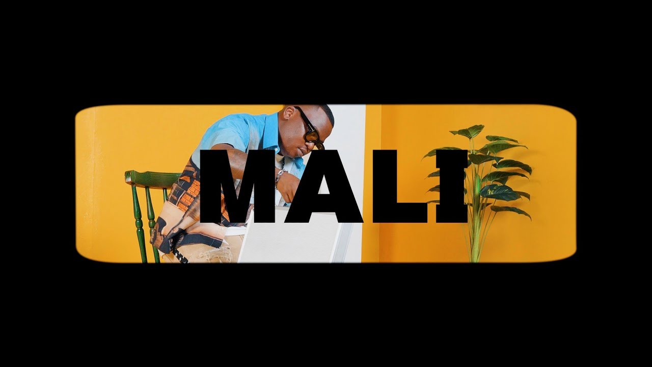 Dlala Thukzin, Zee Nxumalo - Mali feat Sykes (Official Music Video) Dlala Thukzin, Zee Nxumalo - Mali feat Sykes (Official Music Video)