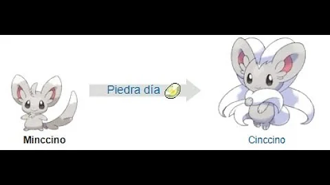 Que nível o Minccino?