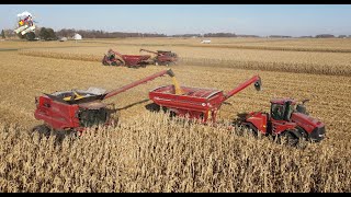 Corn Harvest near Lynn Indiana with Drew Farms