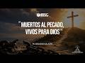 user img