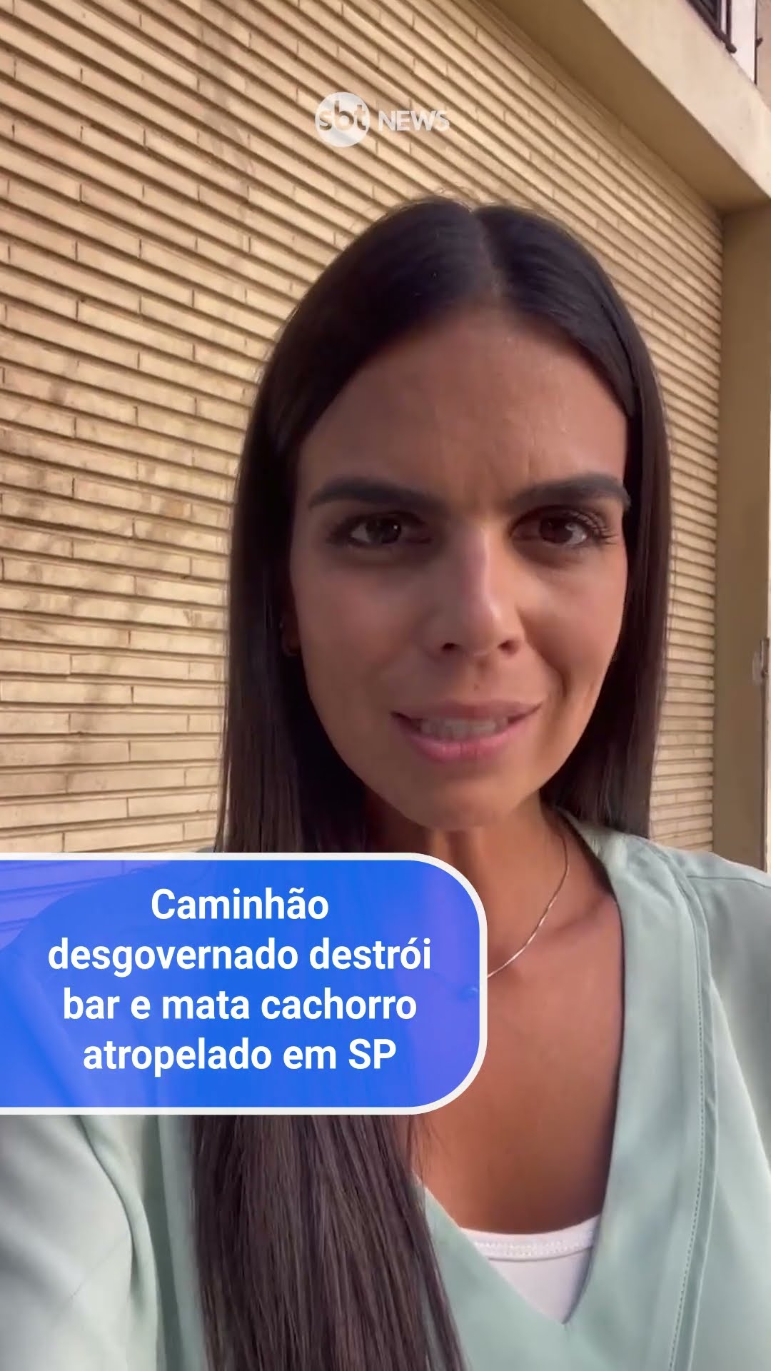 Caminhão desgovernado destrói bar e mata cachorro atropelado na Bela Vista em São Paulo