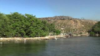 Beach Clean Up Interview Telearuba