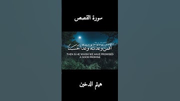 من اجمل  تلاوات هيثم الدخين| القصص