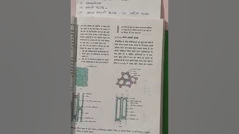 Tissues Lect-2 | Science | Class 9 UP Board | By Shashi Gupta | GGIC PHAPHAMAU