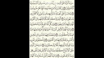 سورة يس - الآية [20 - 36] متعب الحربي / تلاوات خاشعة