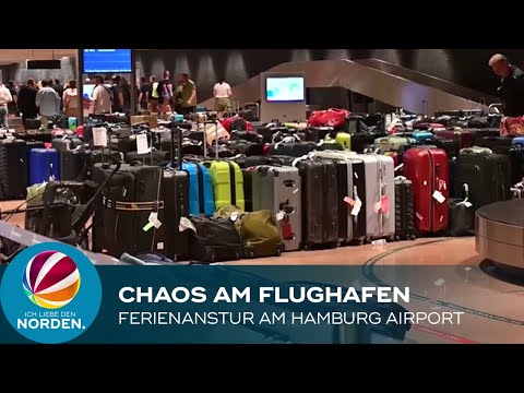 Chaos am Flughafen: So will der Hamburg Airport den Ferienansturm bewältigen