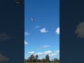 Os46 Powered Pilatus PC-6 on song! #airplane #rcairplane #osengine #seagullmodels #spektrumrc