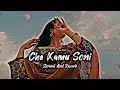 Che kamu sonni meyani  shazia bashir slowed and reverb  new kashmiri song