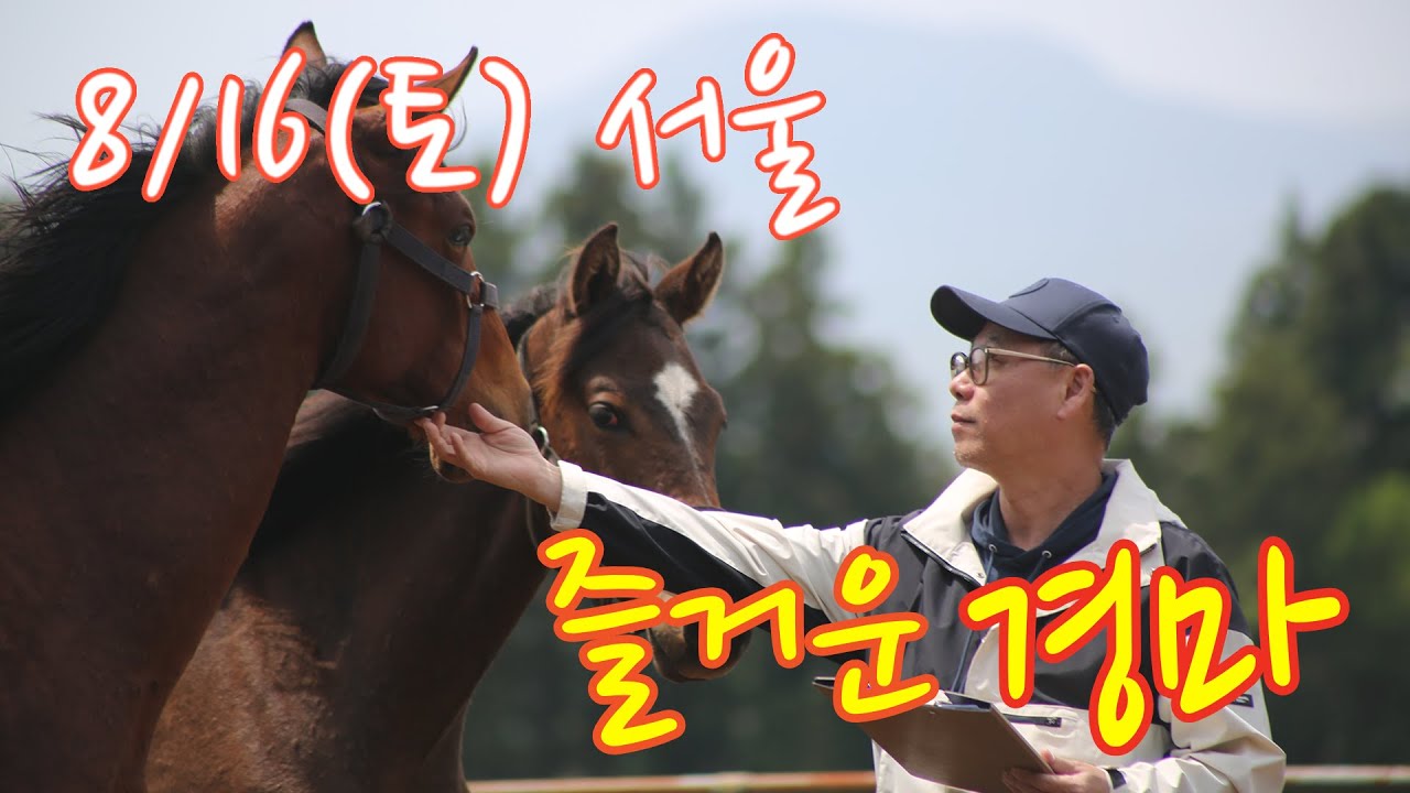김호경마 8월 16일 토요일 서울 경마방송