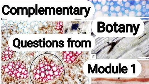 | Kerala University BSc - Complementary Botany  S1 Exam oriented questions | Module - I |