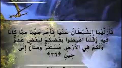 Moustafa Haredy  El Baqarah Ayah 35-37| مصطفى هريدى - سورة البقرة - من أية 35-37