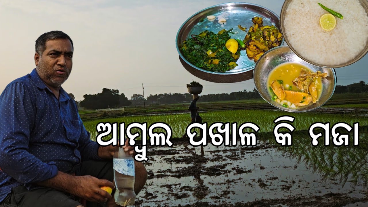 ଆମ୍ବୁଲ ପଖାଳ କି ମଜା 😋 ମାମାଙ୍କ ମଶା ଅଭିଯାନ l Gouranga Nayak Odia Vlogs 