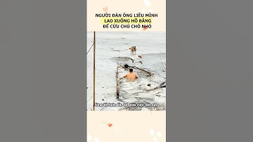 Người đàn ông liều mình lao xuống hồ băng để cứu chú chó nhỏ #cho #giaicuu #honuoc #dongvat