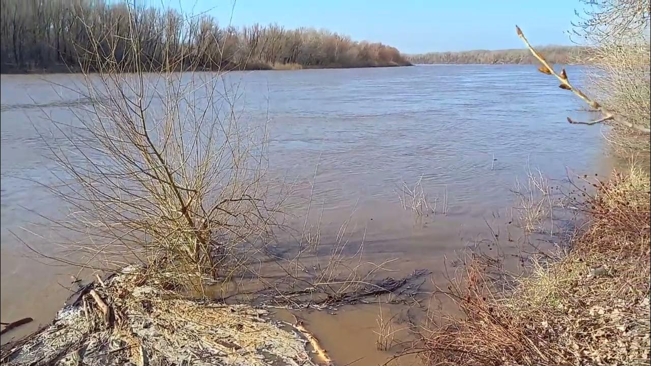 Река урал город уральск. Вода у берега реки. Уральск река. Уральск весной. Деркул река в Уральске.