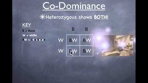 Co-Dominance Review