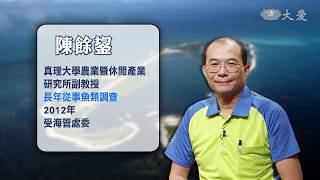 【經典.TV】20190901 - 檸檬鯊的天堂 