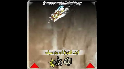 حالات واتساب قرآن كريم بصوت الشيخ الفاضل ماجد العويري