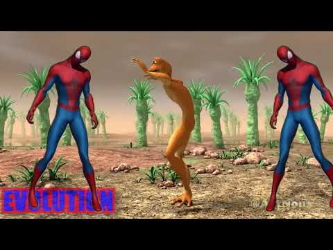 Patila SPEED CHALLENGE funny fast dance missed the stranger with Super Heroes