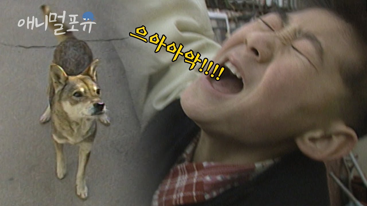 강아지와 놀다가.. 돌이킬 수 없는 장난을 친 소년?! | KBS 긴급구조 119 950110 방송