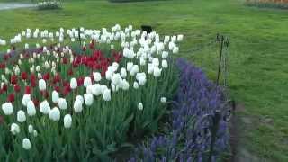 Tulip Fest Aerial View - Washington Park, Albany NY - May 2015