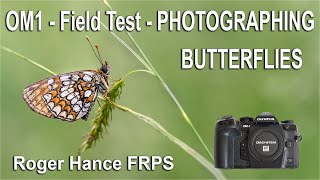 OM1 - Field Test - Photographing Butterflies