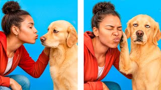 Genius Pet Life Hacks Every Owner Should Know!