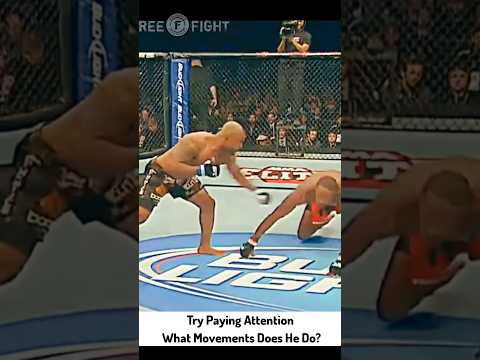 What Style Is This Mma Ufc