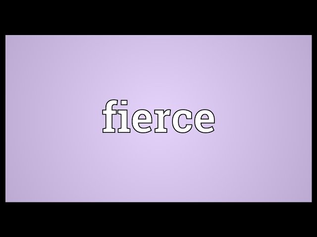 Fierce  meaning of Fierce 