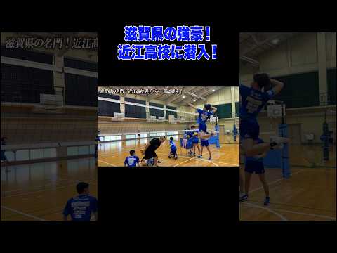 近江高校のスパイク力がエグい #バレーボール #近江 #潜入 #スパイク